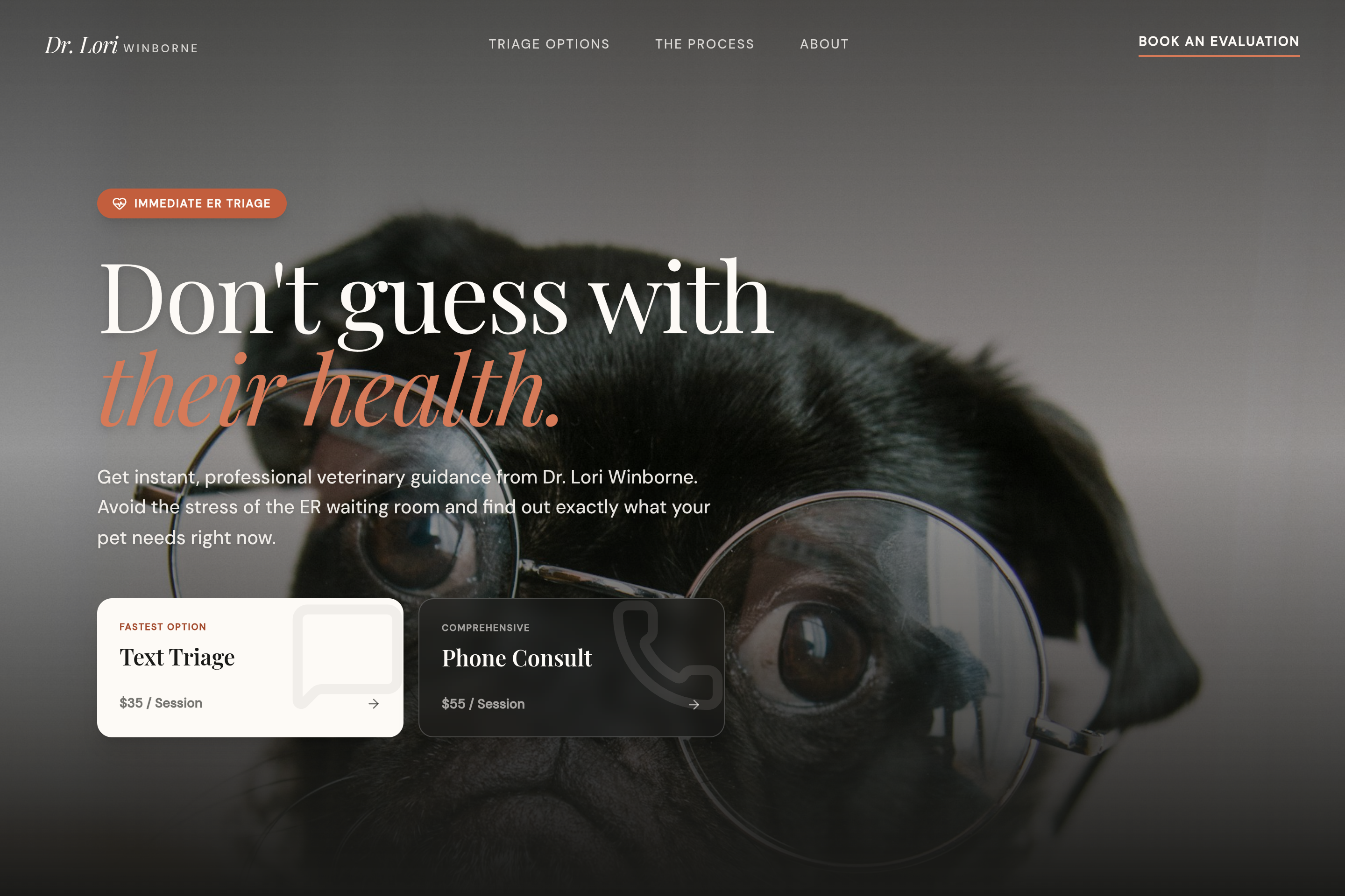 ClearPath Vet — Web Design by 5280 Design
