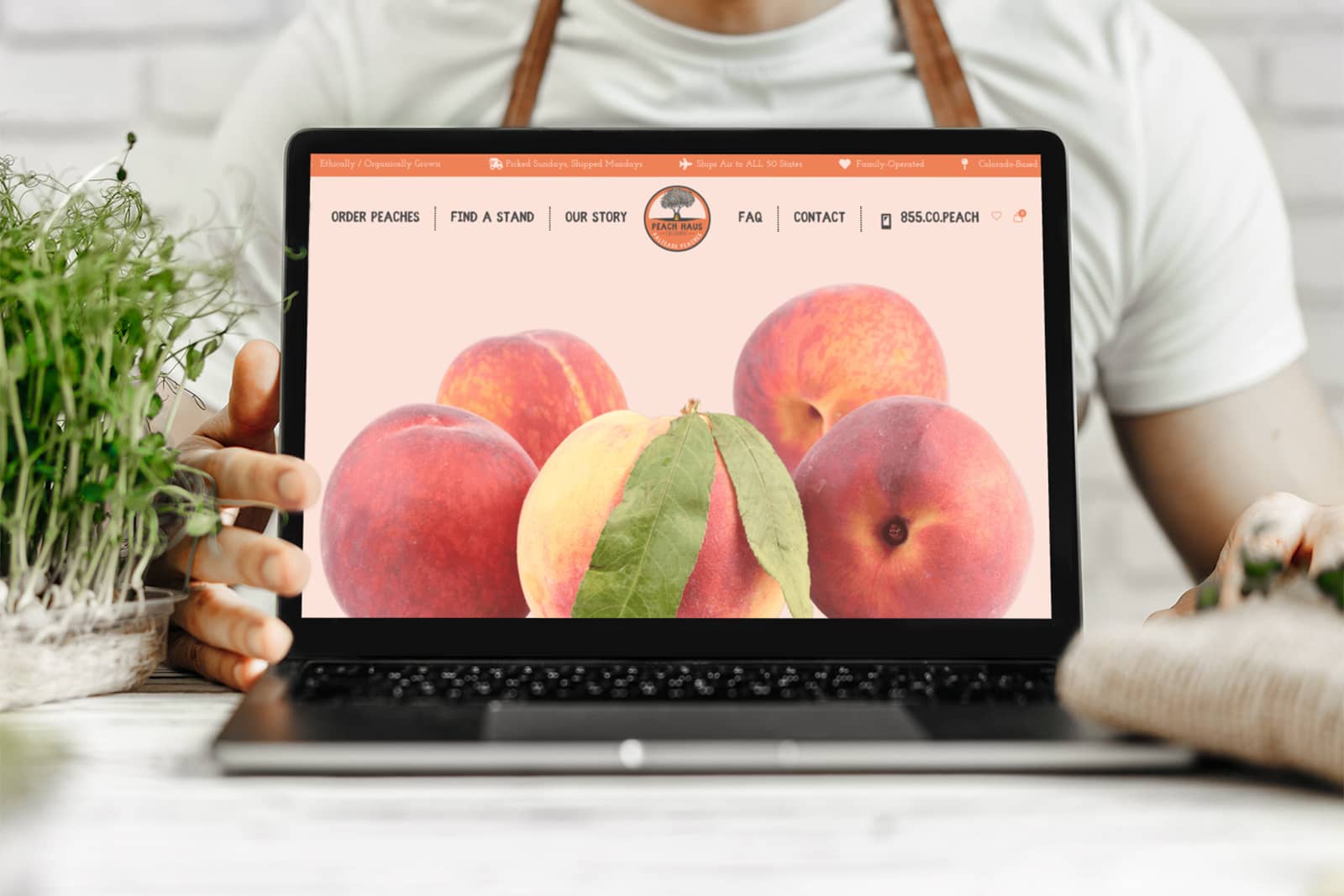 peach haus web design